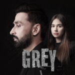 Падение / Grey (2023) Пакистан