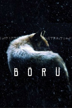 1500532711 borufilm