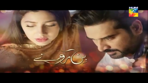 Official Title Screen of Bin Roye