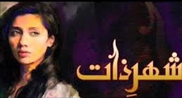 Shehr e Zaat Hum TV