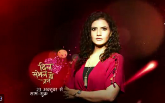 Dil Sambhal Jaa Zara Serial on Star Plus Wiki Cast Characters real name Story promo timings HD Photos